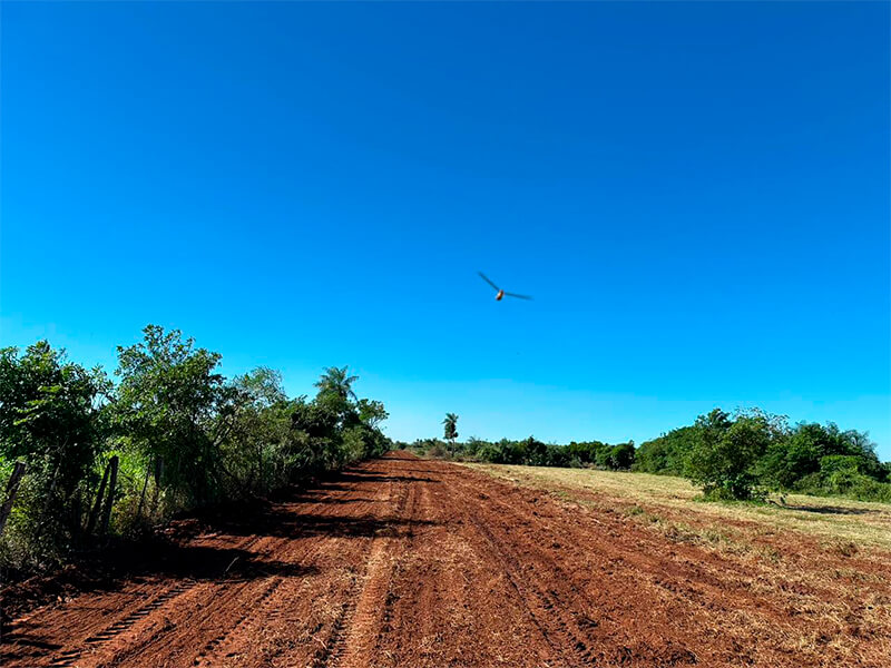 potrero-guazu-01