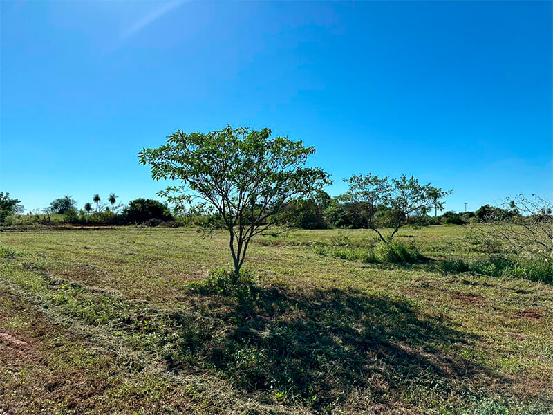 potrero-guazu-06