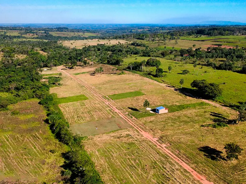 la-picada-20